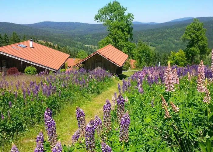 Sumava - Bavorsky Les Apartamento Mitterfirmiansreut