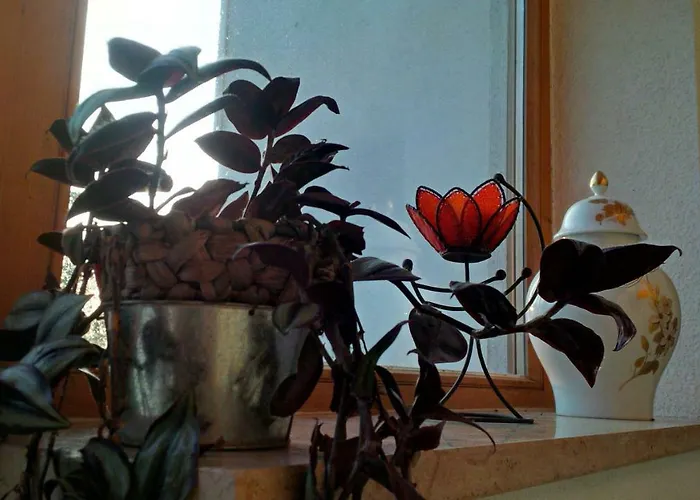 Sumava - Bavorsky Les Apartamento