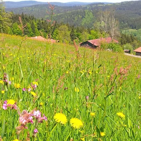 šumava - Bavorský Les Mitterfirmiansreut
