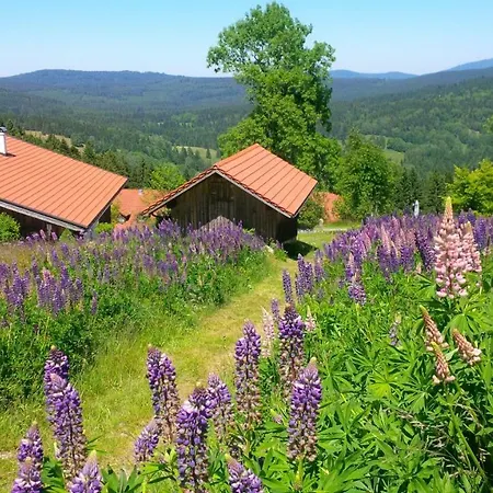 Sumava - Bavorsky Les Apartment Mitterfirmiansreut