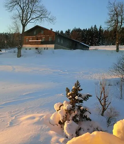 Sumava - Bavorsky Les *