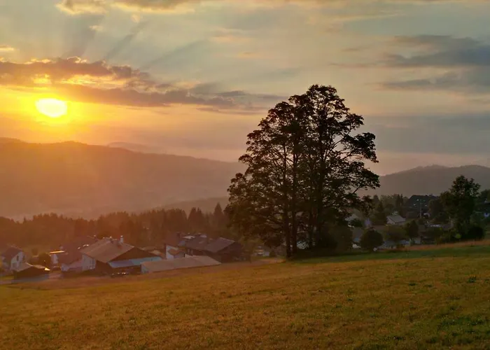 Sumava - Bavorsky Les